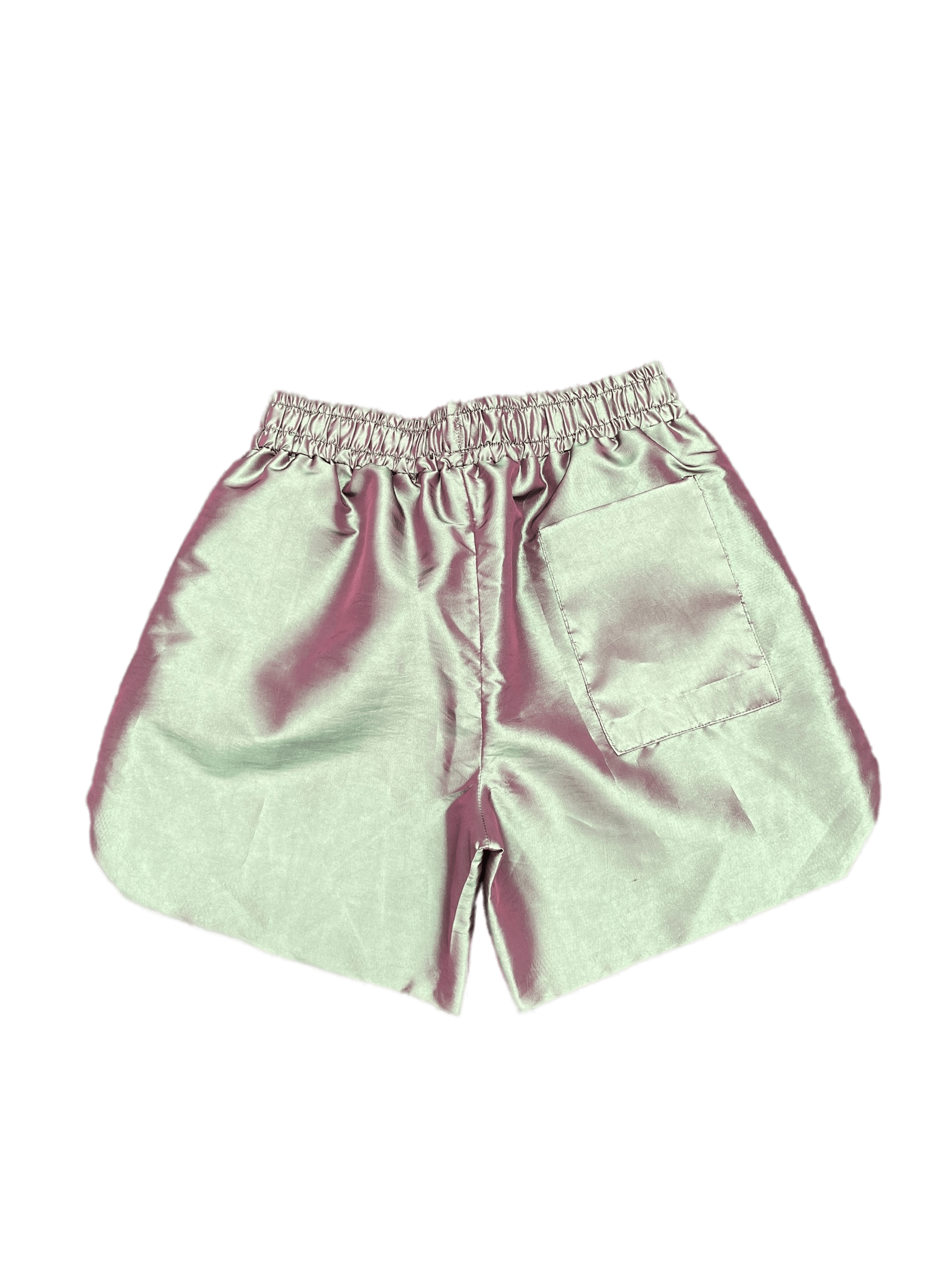 iridescent nylon shorts